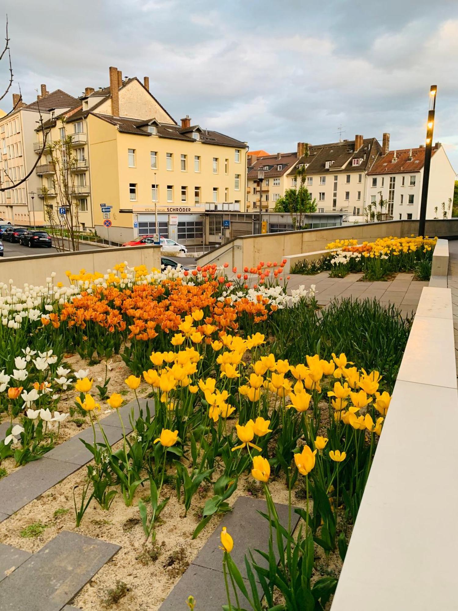 Stadtwohnung Mit Garten Kassel Ngoại thất bức ảnh